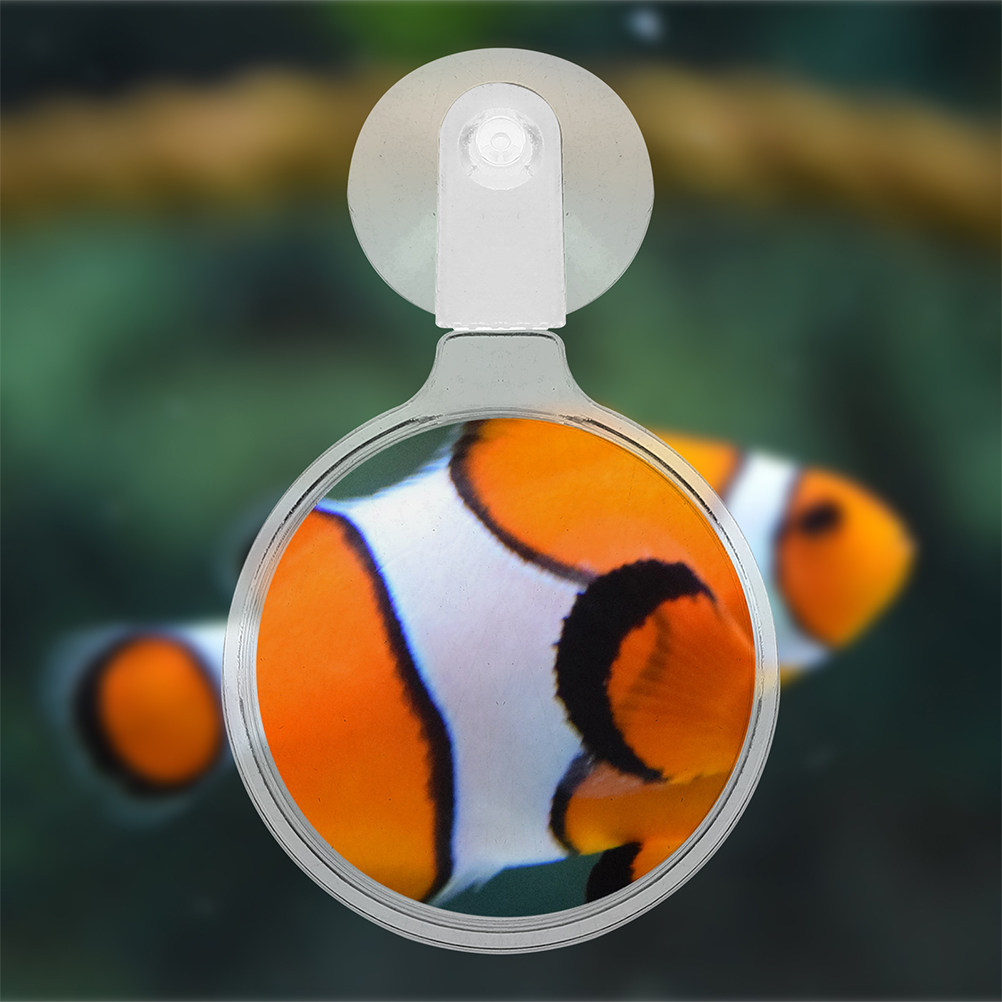 Aquarium Plant Design - 2개입 수족관 확대경 흡착컵 디자인 투명