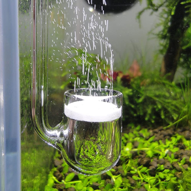 Aquarium Plant Design - 탱크에 심은 수족관용 D0AD 유리 CO2