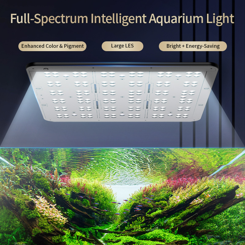 Planted Aquarium Uv Light - 카스레이 T200/T300 IR-A+UV 자연 수생 식물