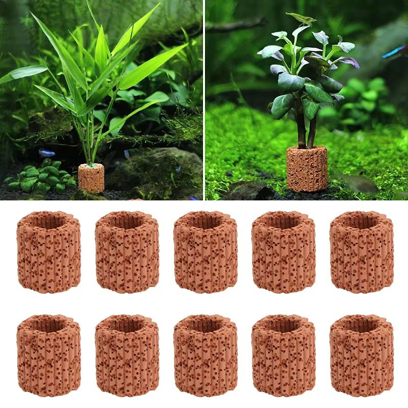 Aquarium Planted Seeds - 수족관 풍경을위한 수생 식물 고정 링