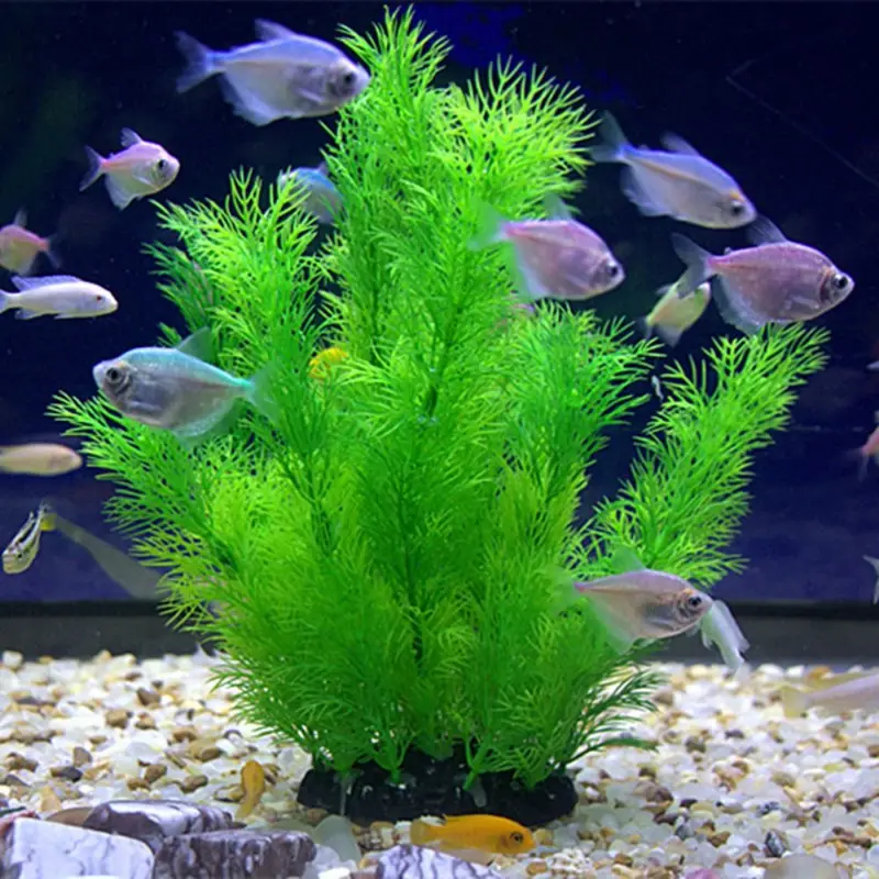 Aquarium Plant Seeds - 인공 수족관 장식 식물 수중 물