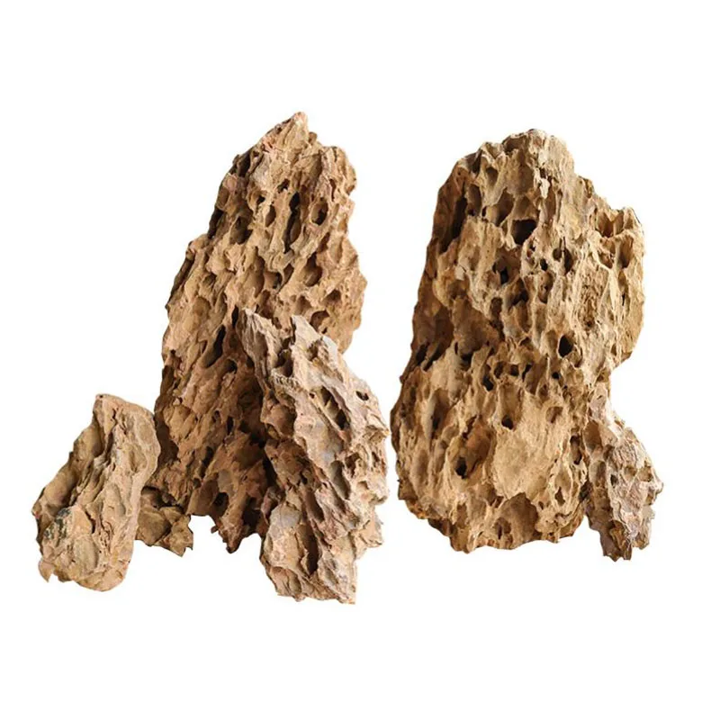 Aquarium Planted Seeds - 250g 500g 1000g 천연 수족관 장식