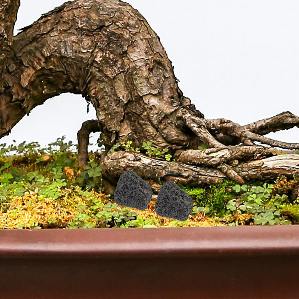 Aquarium Planted Tank Filter - 어항용 화산석 천연 소석, 수초 화분용,