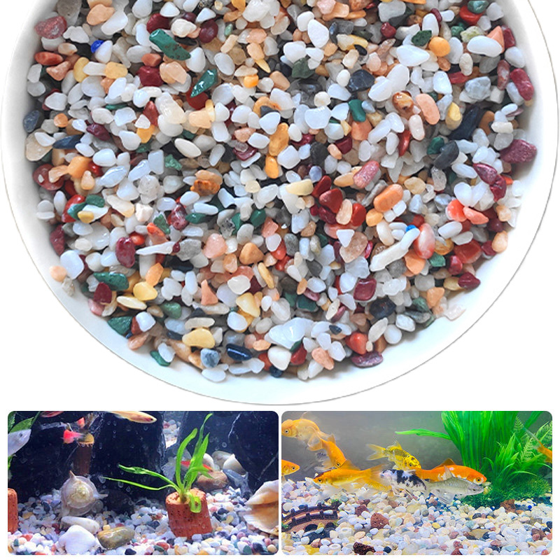 Planted Aquarium With Sand - 천연 자갈석 200~1000g 마이크로 조경 정원