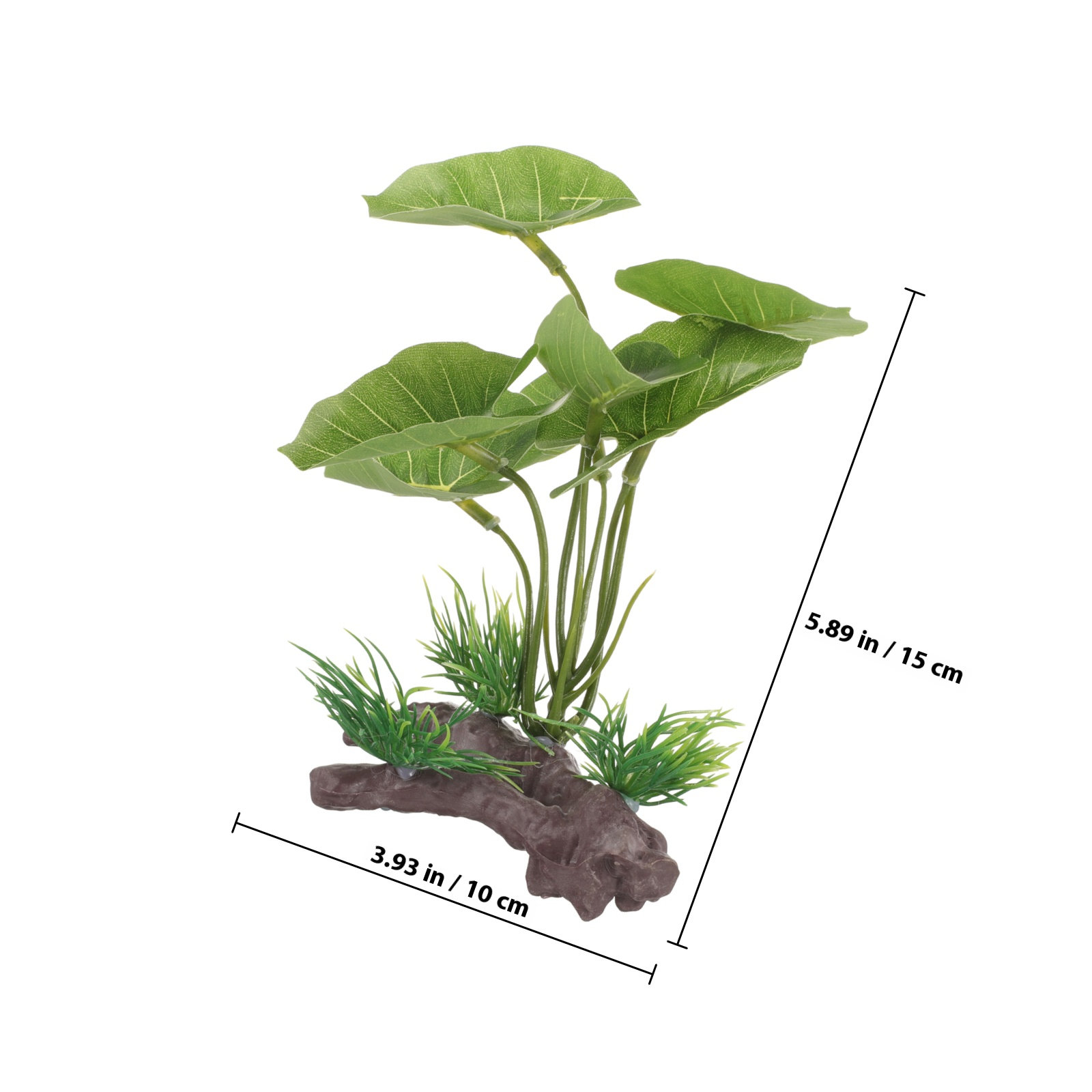 베타 물고기 수조, 파충류 사육장 및 담수 수족관용 실 - Planted Aquarium Care 리뷰 및 가격