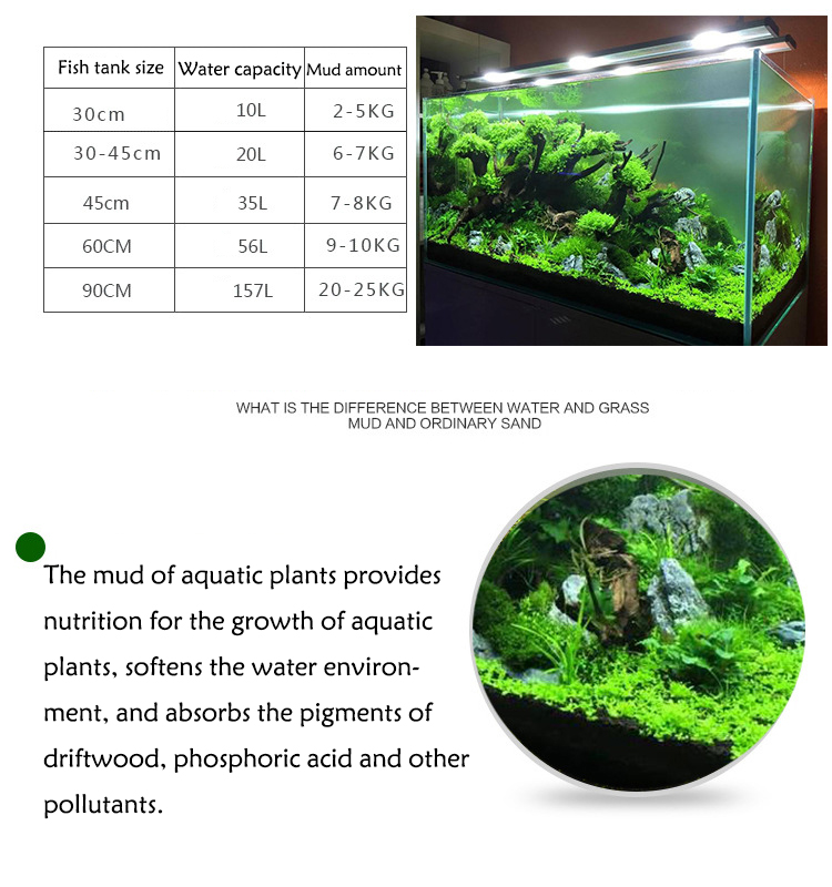 수족관 물 진흙 식물 씨앗 토양 어항 바닥 모래 영양소 - Aquarium Planted Seeds 리뷰 및 가격