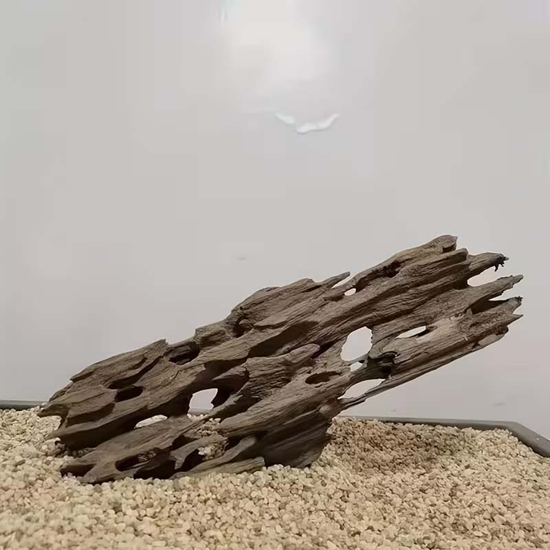 새우를 위한 자연 구멍이 있는 새우 나무 수족관 장식, - Aquarium Planted Seeds 리뷰 및 가격