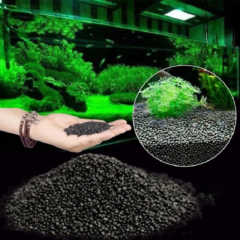 어항 수초 진흙 식물 씨앗 흙 수족관 바닥 모래 영양  - Aquarium Planted Seeds 리뷰 및 가격