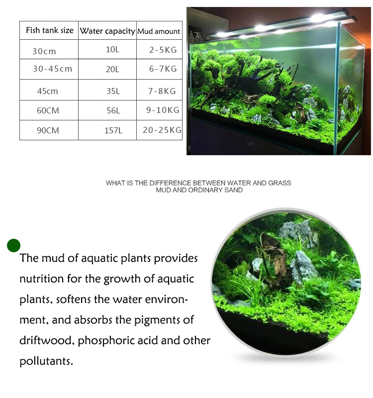 어항 수초 진흙 식물 씨앗 흙 수족관 바닥 모래 영양  - Aquarium Planted Seeds 리뷰 및 가격