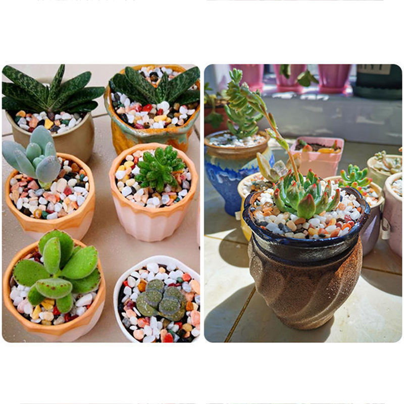 5mm 천연 수족관 모래 200g-800g 물고기 탱크 - Planted Aquarium With Sand 리뷰 및 가격