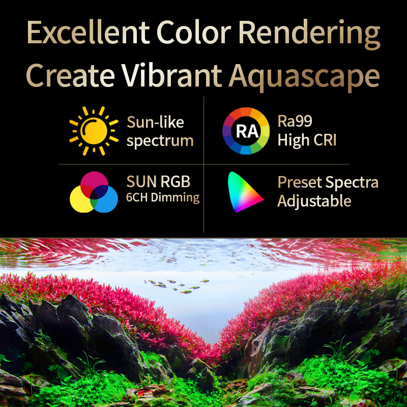 카스레이 T200/T300 IR-A+UV 자연 수생 식 - Planted Aquarium Uv Light 리뷰 및 가격