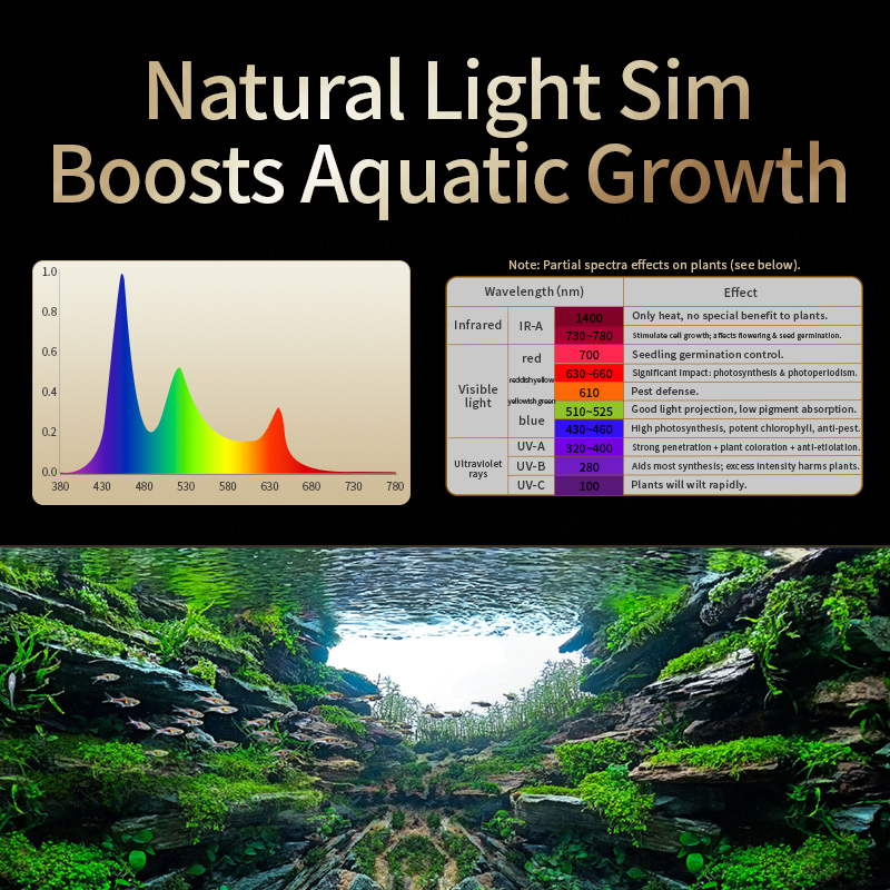 카스레이 T200/T300 IR-A+UV 자연 수생 식 - Planted Aquarium Uv Light 리뷰 및 가격