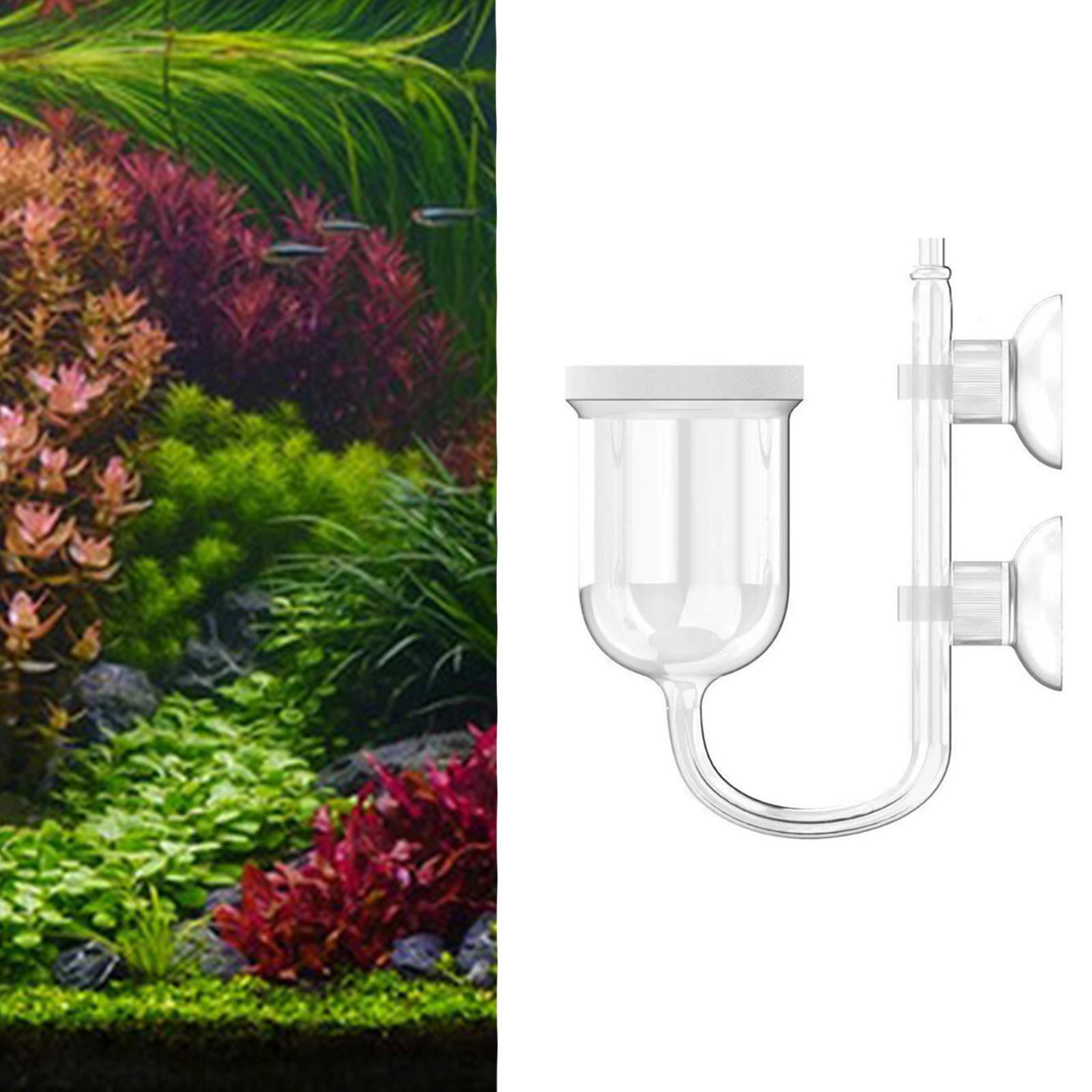 수족관 식물용 통합형 버블 카운터 CO2 디퓨저, 수생 - Planted Aquarium Care 리뷰 및 가격