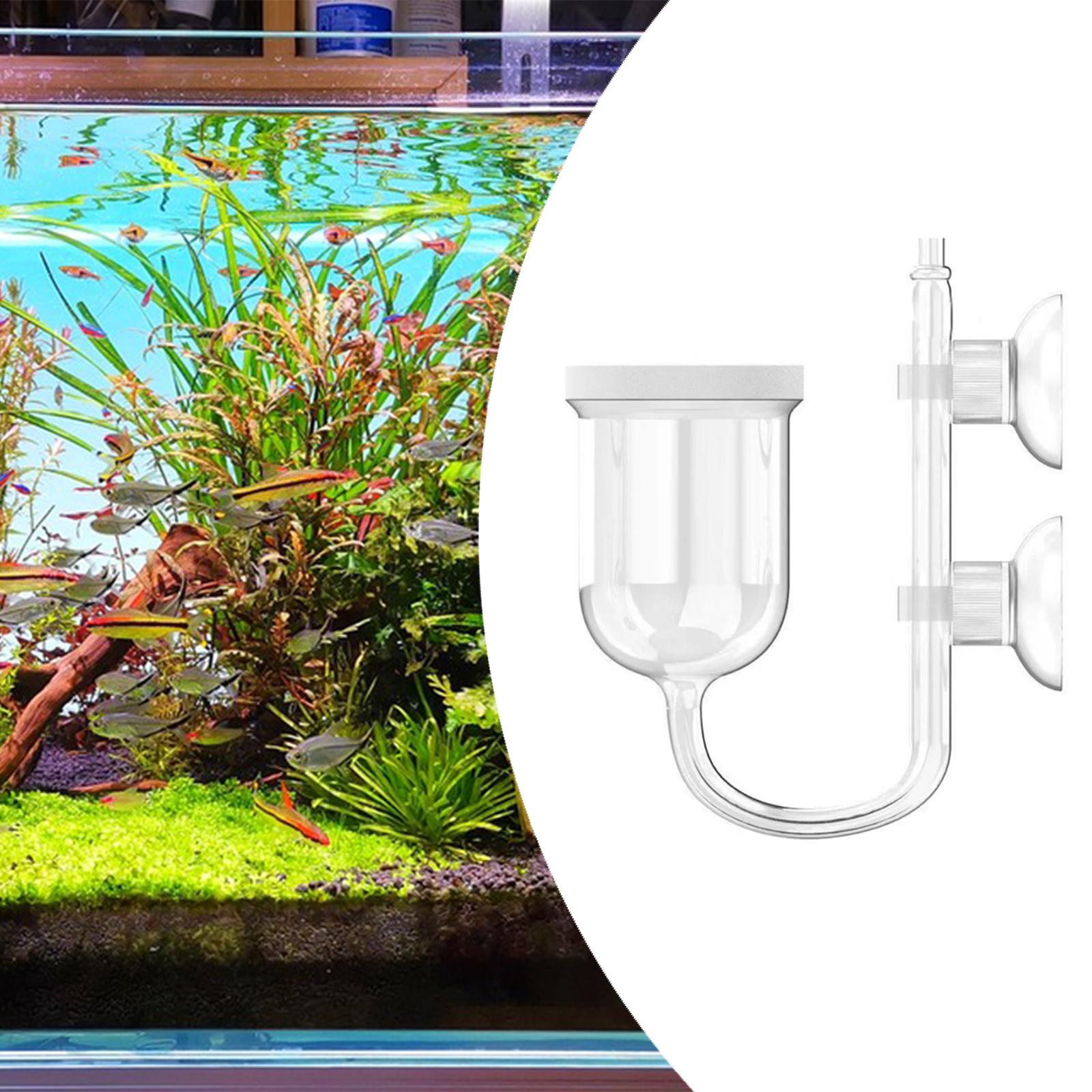 수족관 식물용 통합형 버블 카운터 CO2 디퓨저, 수생 - Planted Aquarium Care 리뷰 및 가격