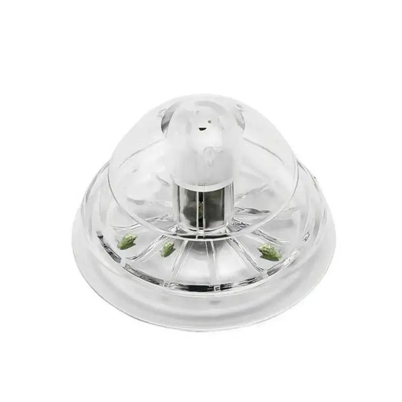 2026년형 새로운 6/8CM 투명 플라스틱 달팽이 트 - Aquarium Planted Fish Tank 리뷰 및 가격
