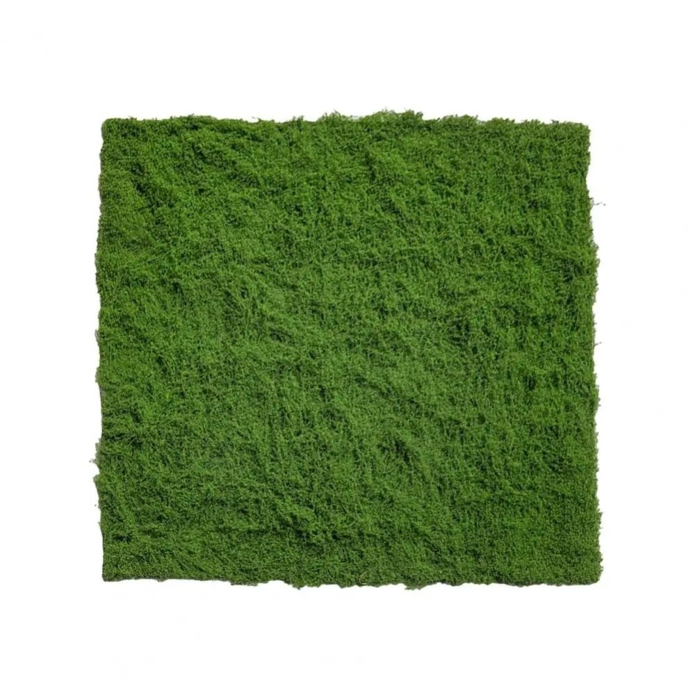 DIY 인조 잔디 러그 내구성 무수경 가짜 이끼 잔디  - Aquarium Plant Seeds 리뷰 및 가격