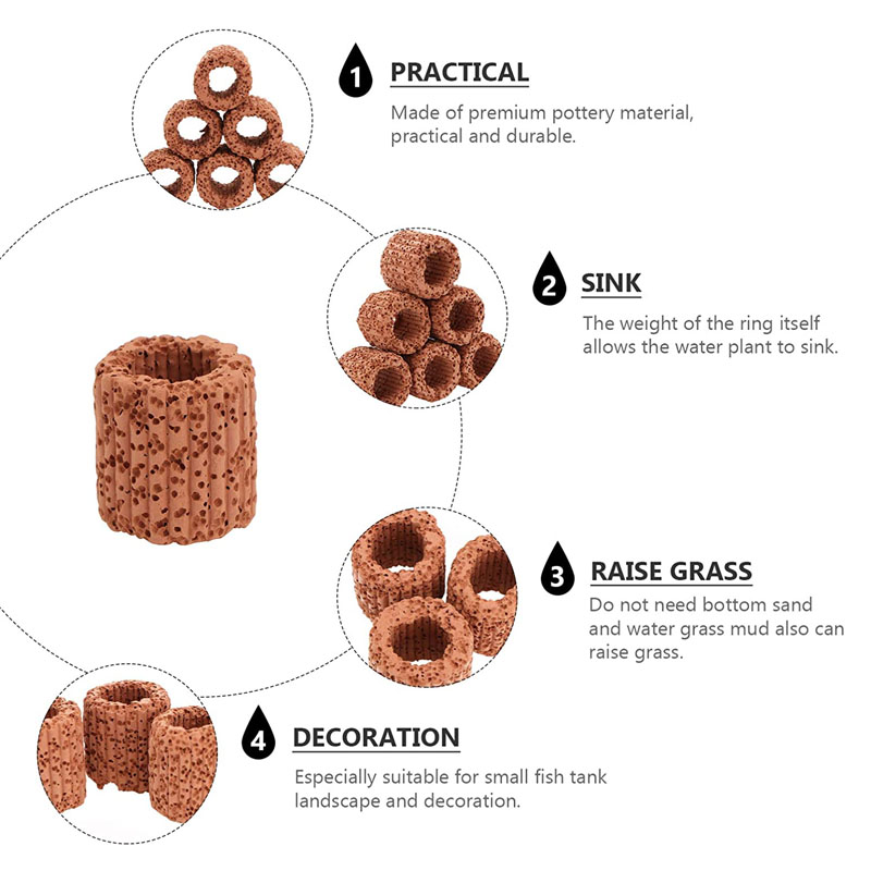수족관 풍경을위한 수생 식물 고정 링 세라믹 수생 식물 - Aquarium Planted Seeds 리뷰 및 가격