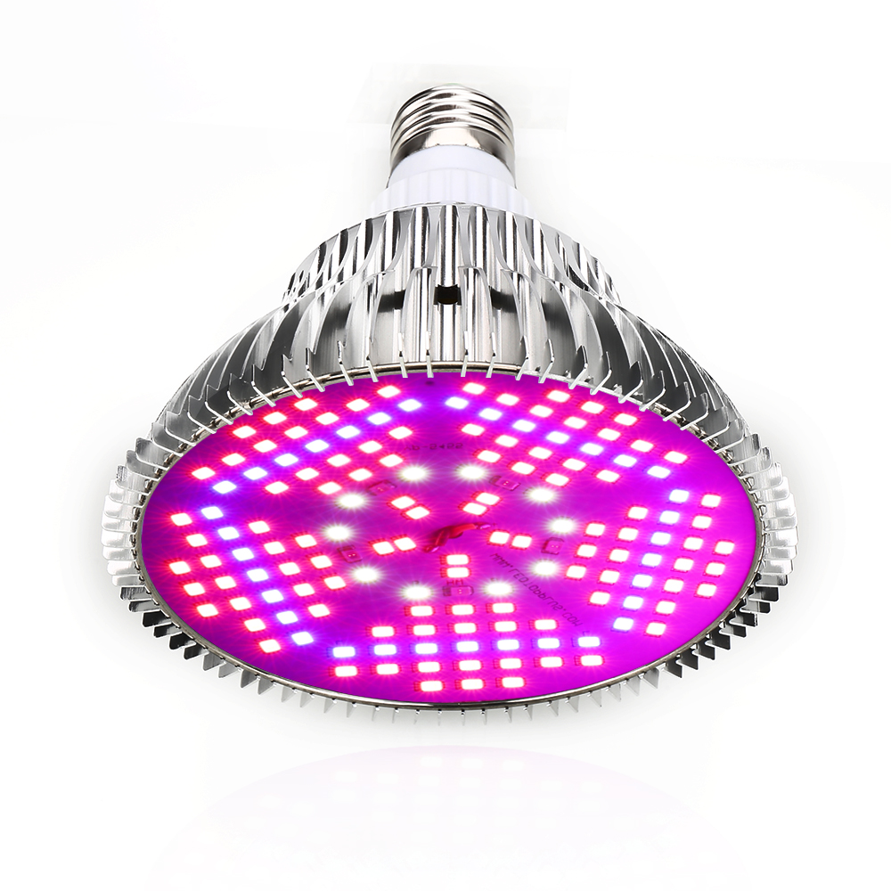 100W 전체 스펙트럼 LED 성장 빛 150Led 식 - Aquarium Planted Seeds 리뷰 및 가격