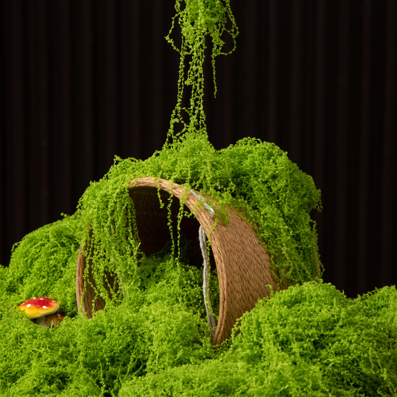 200g 영원한 생명 이끼 DIY 공예 잔디 인공 녹색 - Aquarium Plant Seeds 리뷰 및 가격