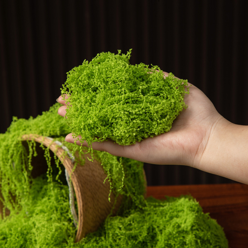 200g 영원한 생명 이끼 DIY 공예 잔디 인공 녹색 - Aquarium Plant Seeds 리뷰 및 가격