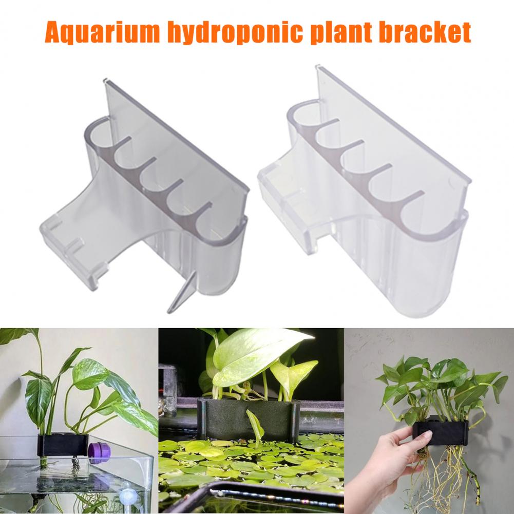 4.5/6.5cm 수족관 식물 홀더 물고기 탱크 식물  - Aquarium Planted Fish Tank 리뷰 및 가격