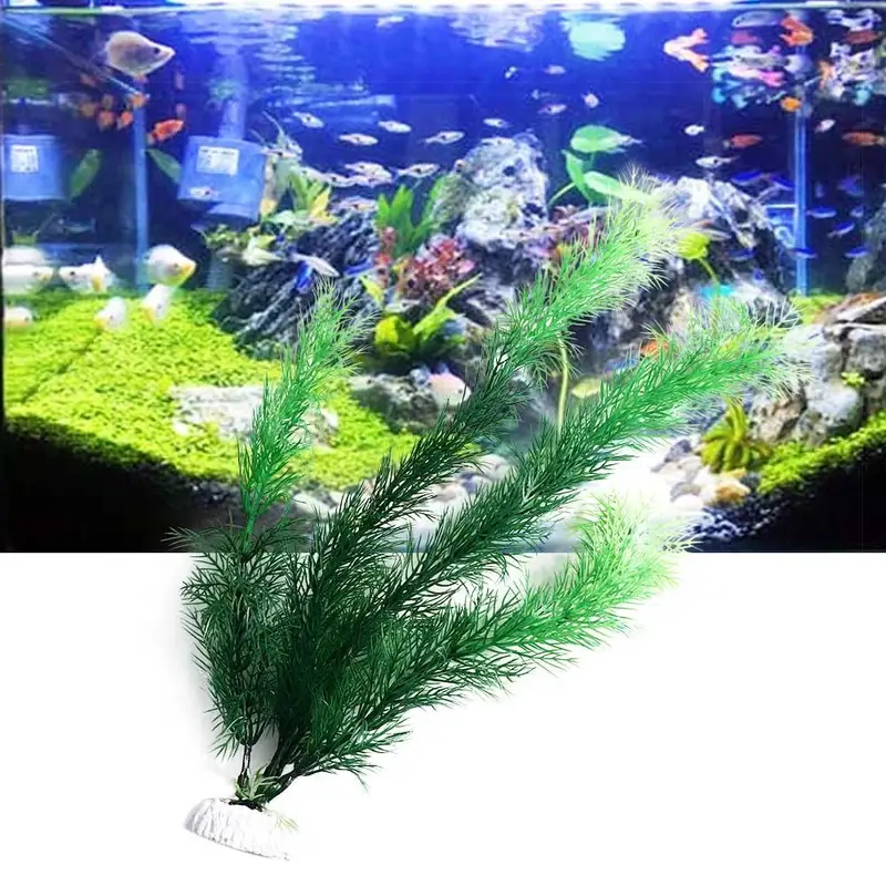 인공 수족관 장식 식물 수중 물 잔디 수족관 장식을위한 - Aquarium Plant Seeds 리뷰 및 가격