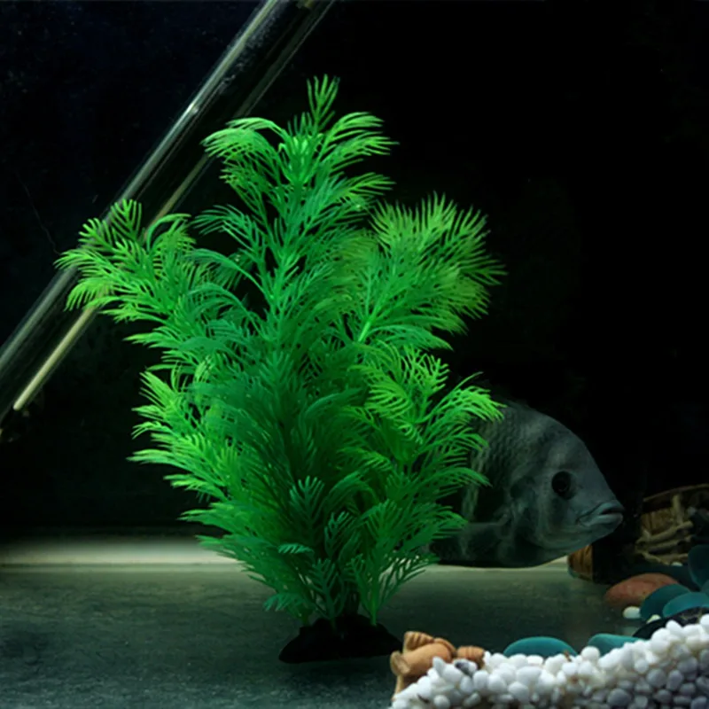 인공 수족관 장식 식물 수중 물 잔디 수족관 장식을위한 - Aquarium Plant Seeds 리뷰 및 가격