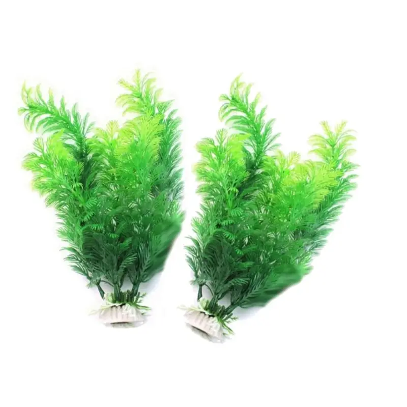 인공 수족관 장식 식물 수중 물 잔디 수족관 장식을위한 - Aquarium Plant Seeds 리뷰 및 가격