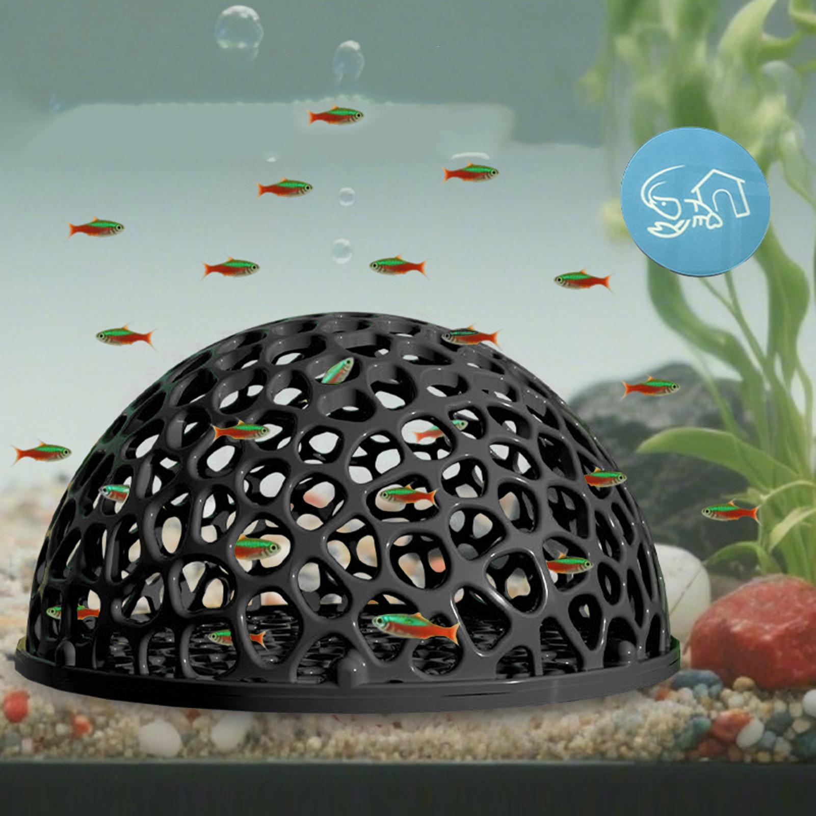 소형 어항용 은둔굴, 새우 번식 및 휴식용 어항 장식품 - Aquarium Planted Seeds 리뷰 및 가격