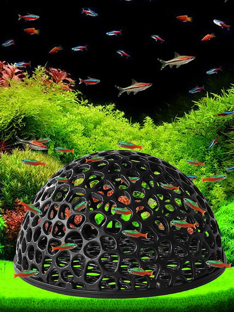소형 어항용 은둔굴, 새우 번식 및 휴식용 어항 장식품 - Aquarium Planted Seeds 리뷰 및 가격