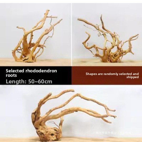 수족관 어항 장식용 자연 유목 가지, 수생 식물 뿌리  - Aquarium Planted Fish Tank 리뷰 및 가격
