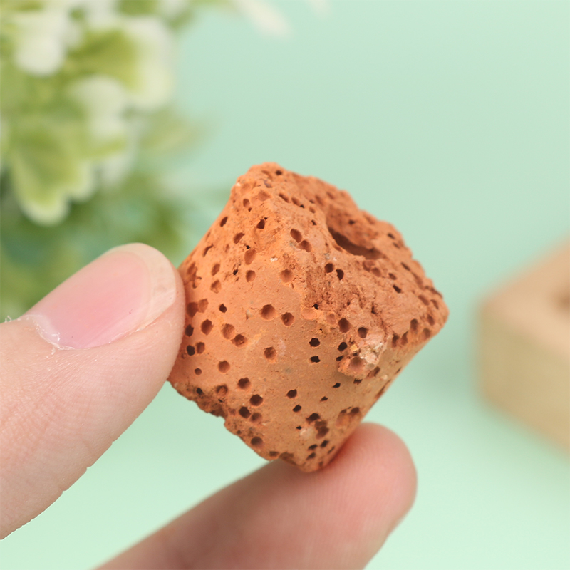 수족관 고정 수조 필터 웨이트 숄더 식물 고정 도구,  - Aquarium Planted Seeds 리뷰 및 가격