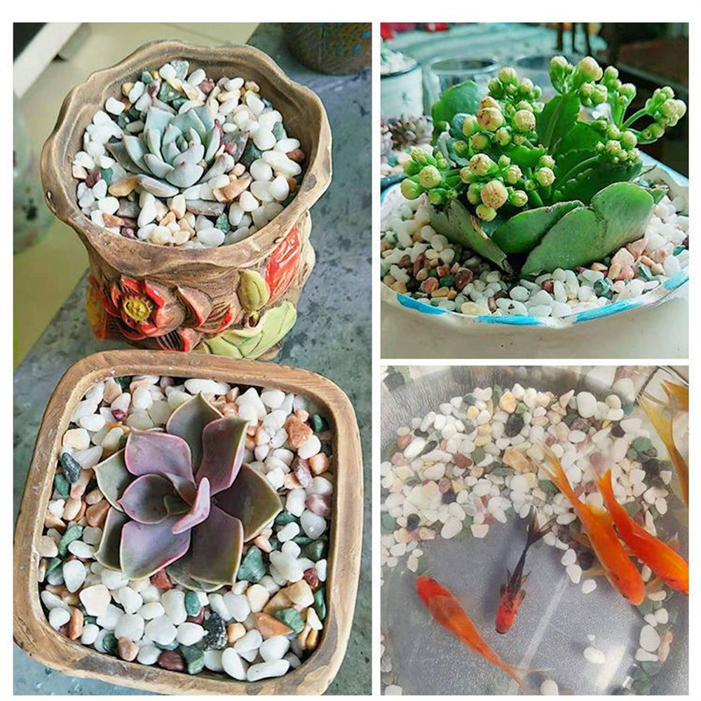 50/100g 천연 크리스탈 자갈 돌 마이크로 조경 정 - Aquarium Planted Seeds 리뷰 및 가격