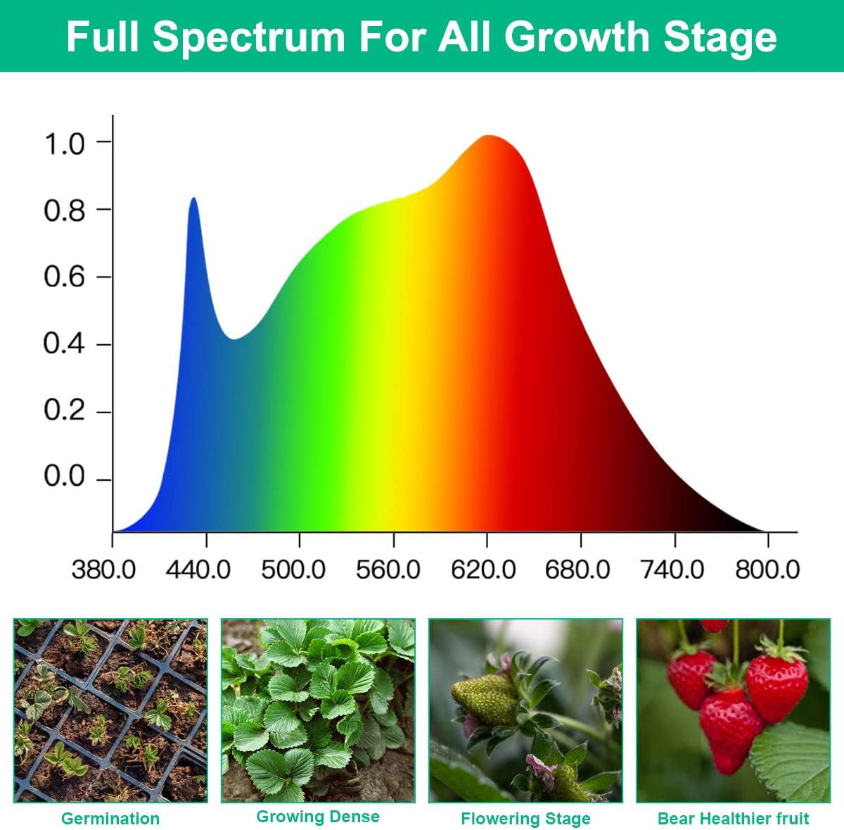 LED 성장 램프 식물 전체 스펙트럼 AC85-265V - Aquarium Planted Seeds 리뷰 및 가격