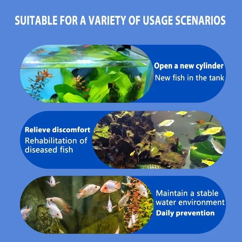 시케잔 어류 질병 치료 및 질소화 세균 |   담수/해 - Aquarium Plant Seeds 리뷰 및 가격