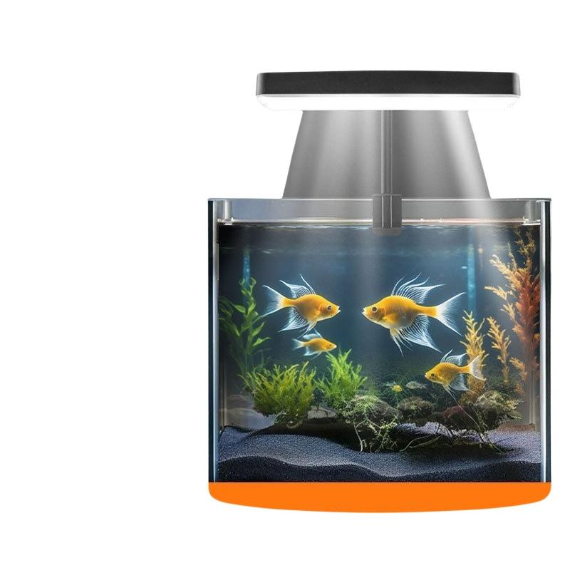 USB 수족관 클립 조명, 가정 사무실 데스크탑 어항  - Aquarium Planted Fish Tank 리뷰 및 가격