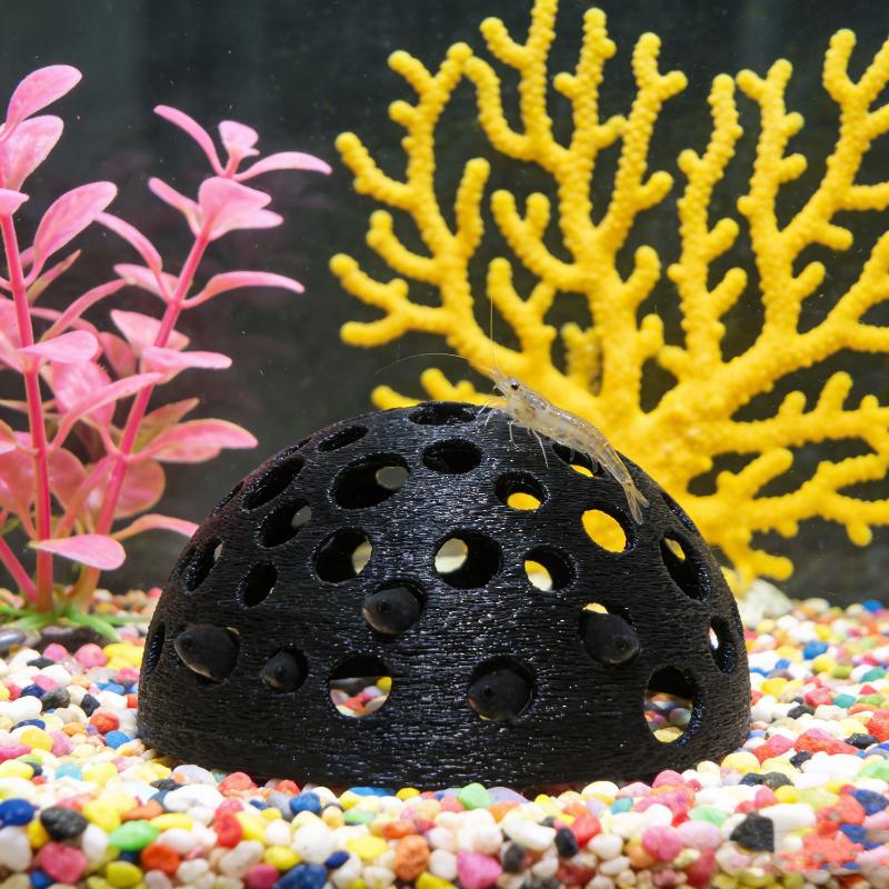 작은 물고기와 번식, 휴식, 놀이를 위한 수족관 숨은  - Aquarium Plant Seeds 리뷰 및 가격