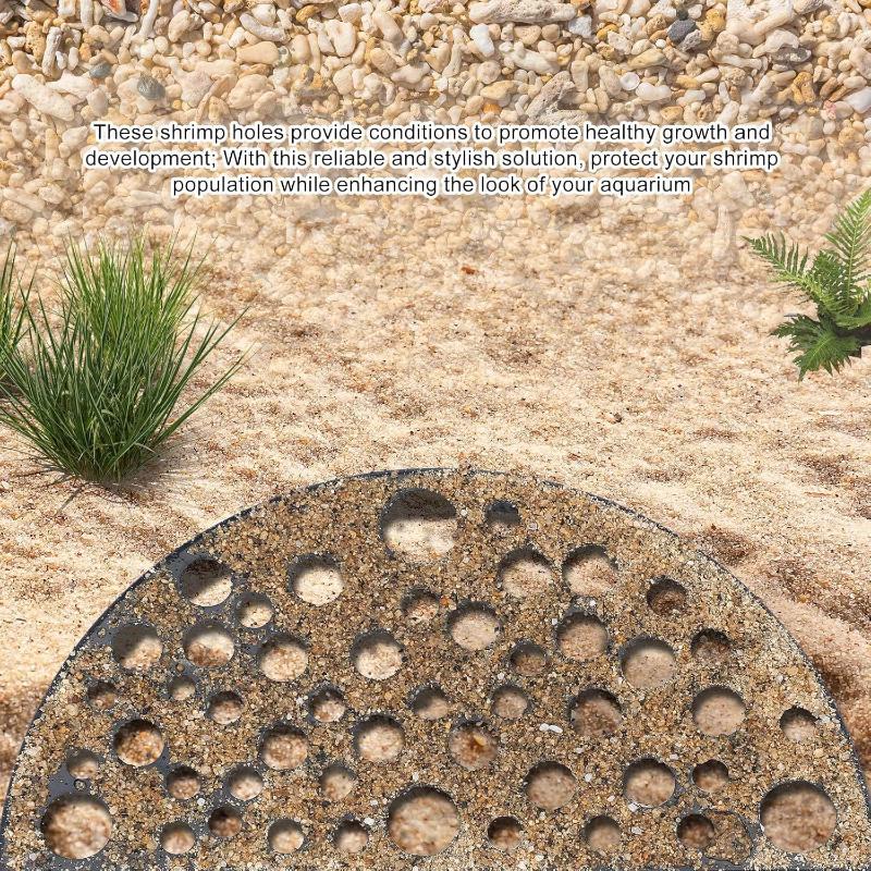 작은 물고기와 번식, 휴식, 놀이를 위한 수족관 숨은  - Aquarium Plant Seeds 리뷰 및 가격