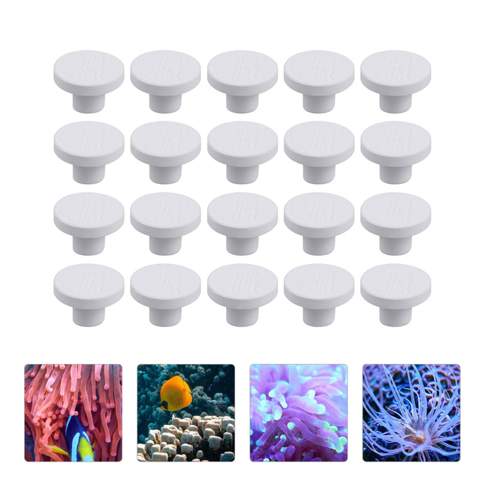 SPS 세라믹 코랄 프래그 플러그 베이스 사각형 T자형 - Aquarium Plant Design 리뷰 및 가격