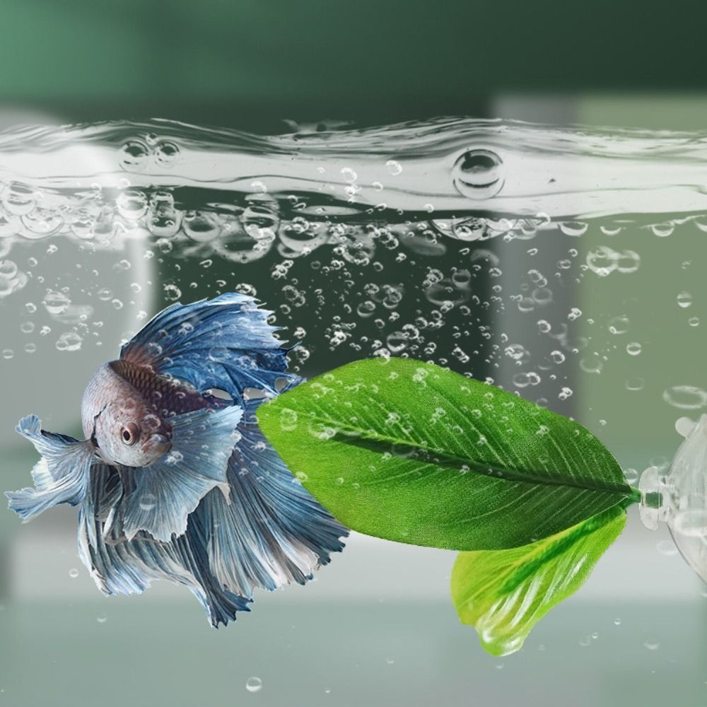 플라스틱 베타 물고기 휴식 잎 모형 연꽃 잎/인공 잎  - Aquarium Plant Seeds 리뷰 및 가격