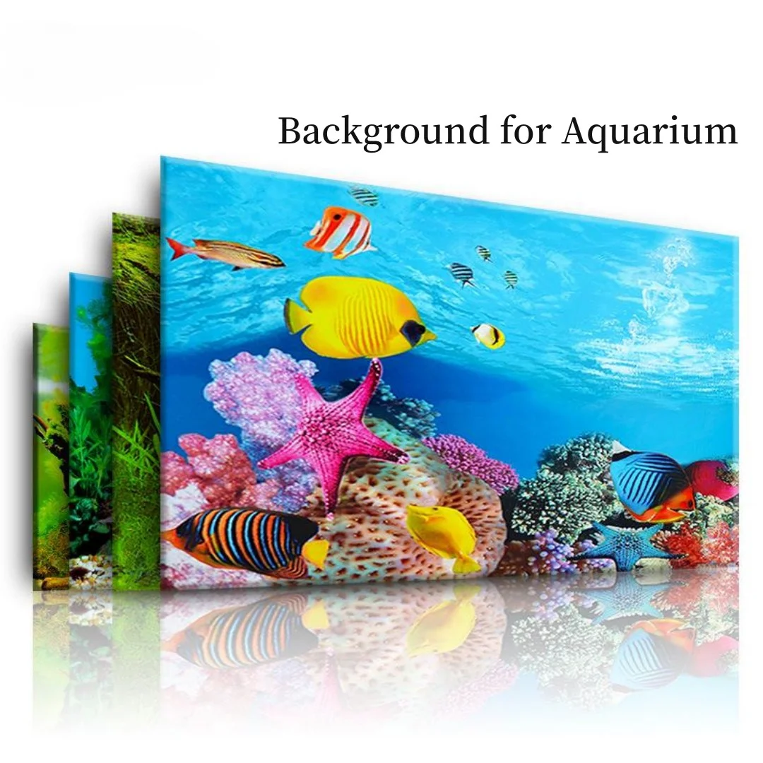 배경 수족관 3D 스티커 포스터 장식, 어항 해양 식물 - Aquarium Plant Seeds 리뷰 및 가격