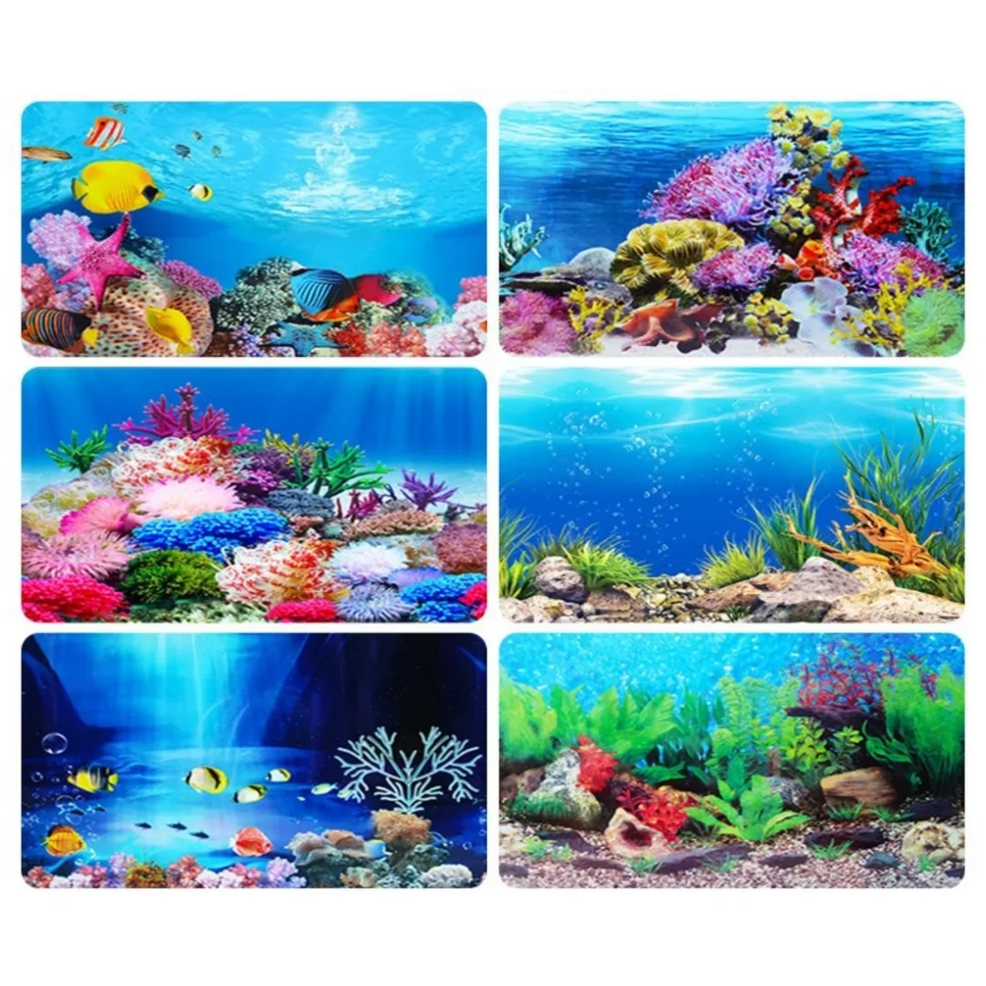 배경 수족관 3D 스티커 포스터 장식, 어항 해양 식물 - Aquarium Plant Seeds 리뷰 및 가격