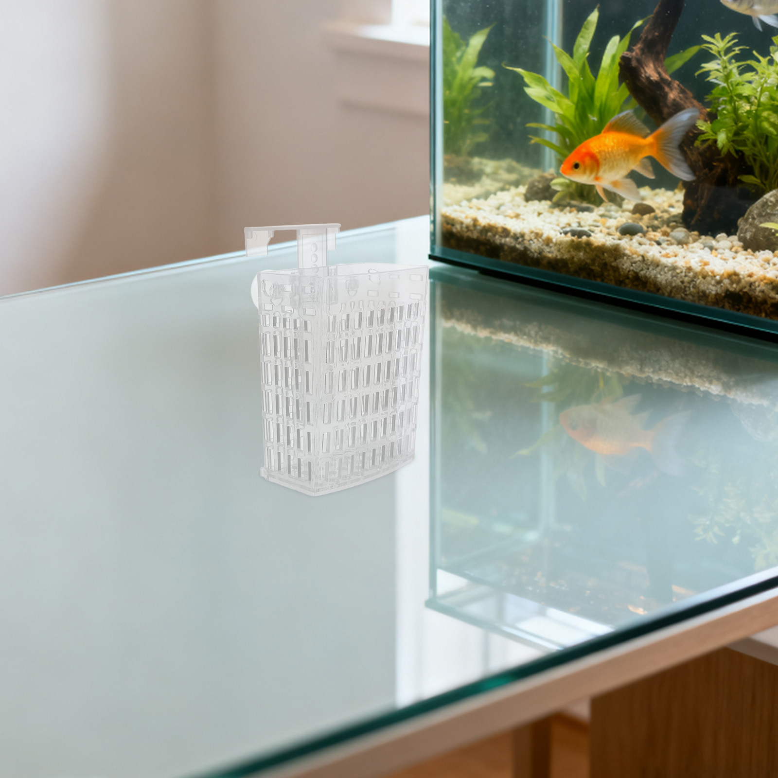 수족관 식물 스탠드 바구니 걸이 고리 수생 식물 홀더  - Aquarium Planted Fish Tank 리뷰 및 가격