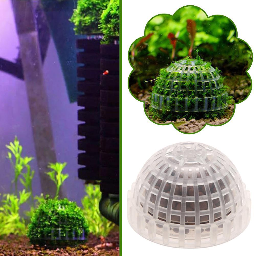 1/2/3/4/5PCS 수족관 장식 식물 바이오 모스  - Aquarium Planted Tank Filter 리뷰 및 가격