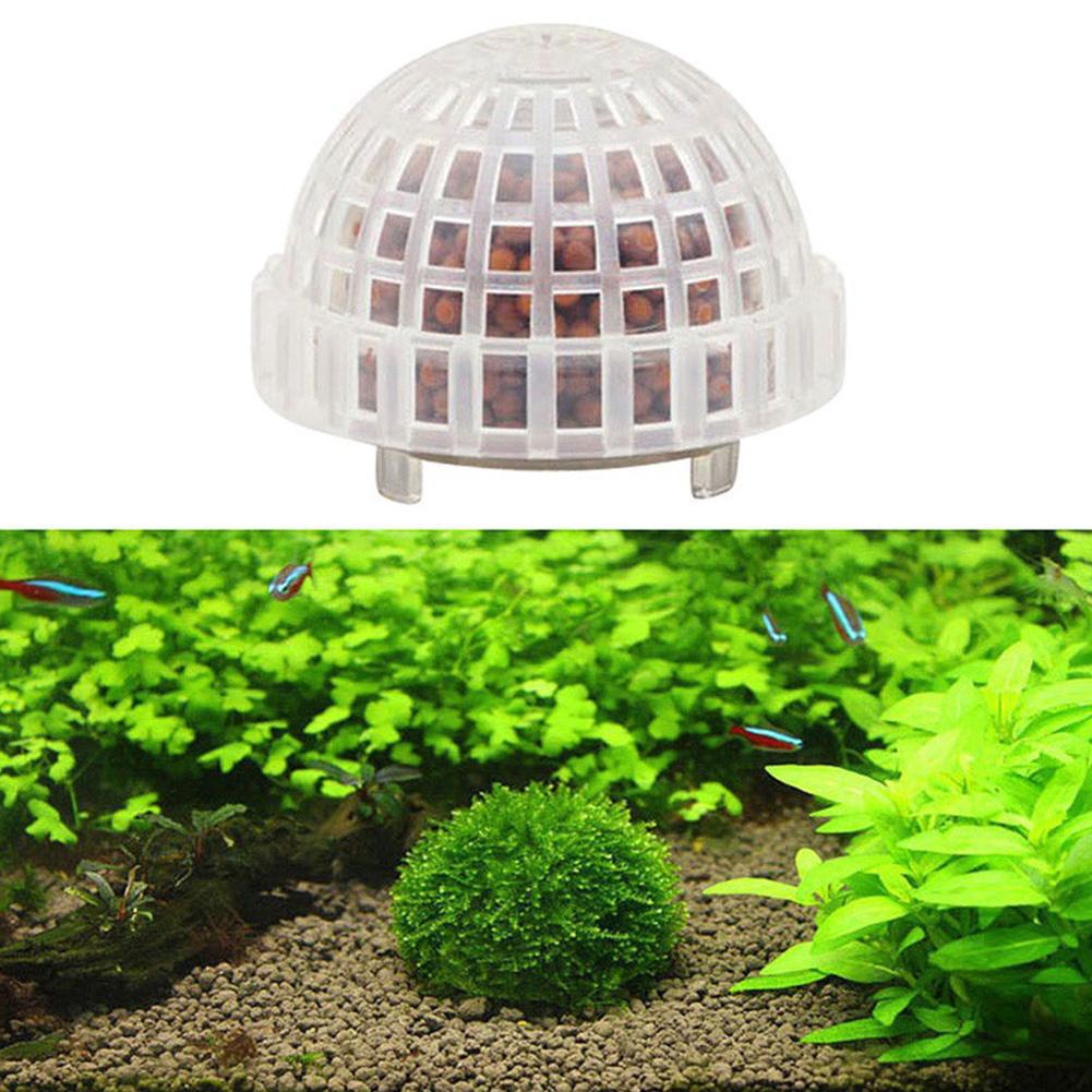 1/2/3/4/5PCS 수족관 장식 식물 바이오 모스  - Aquarium Planted Tank Filter 리뷰 및 가격