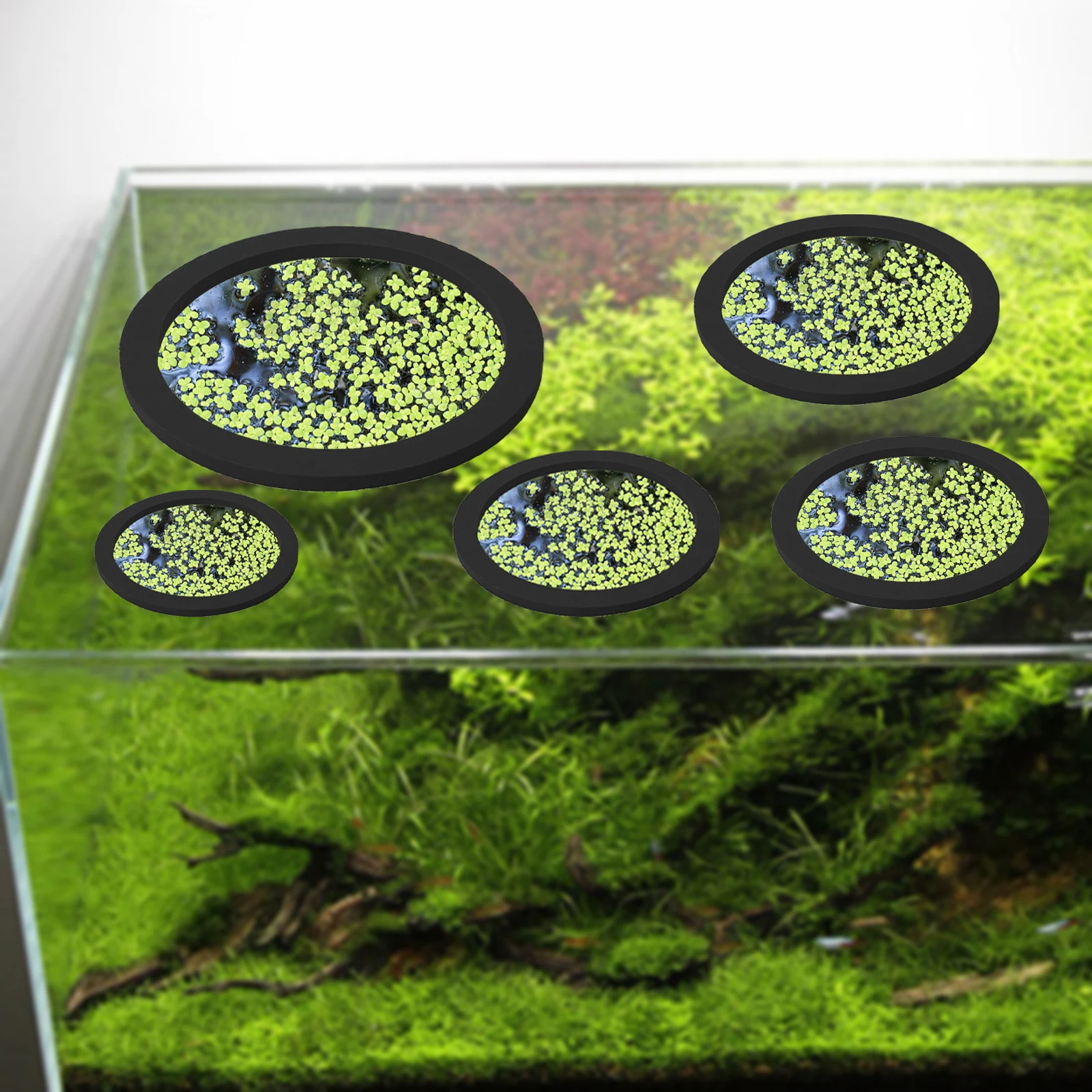 EVA 물고기 먹이 고리 수족관 플로팅 식물, 코랄 어 - Aquarium Planted Fish Tank 리뷰 및 가격