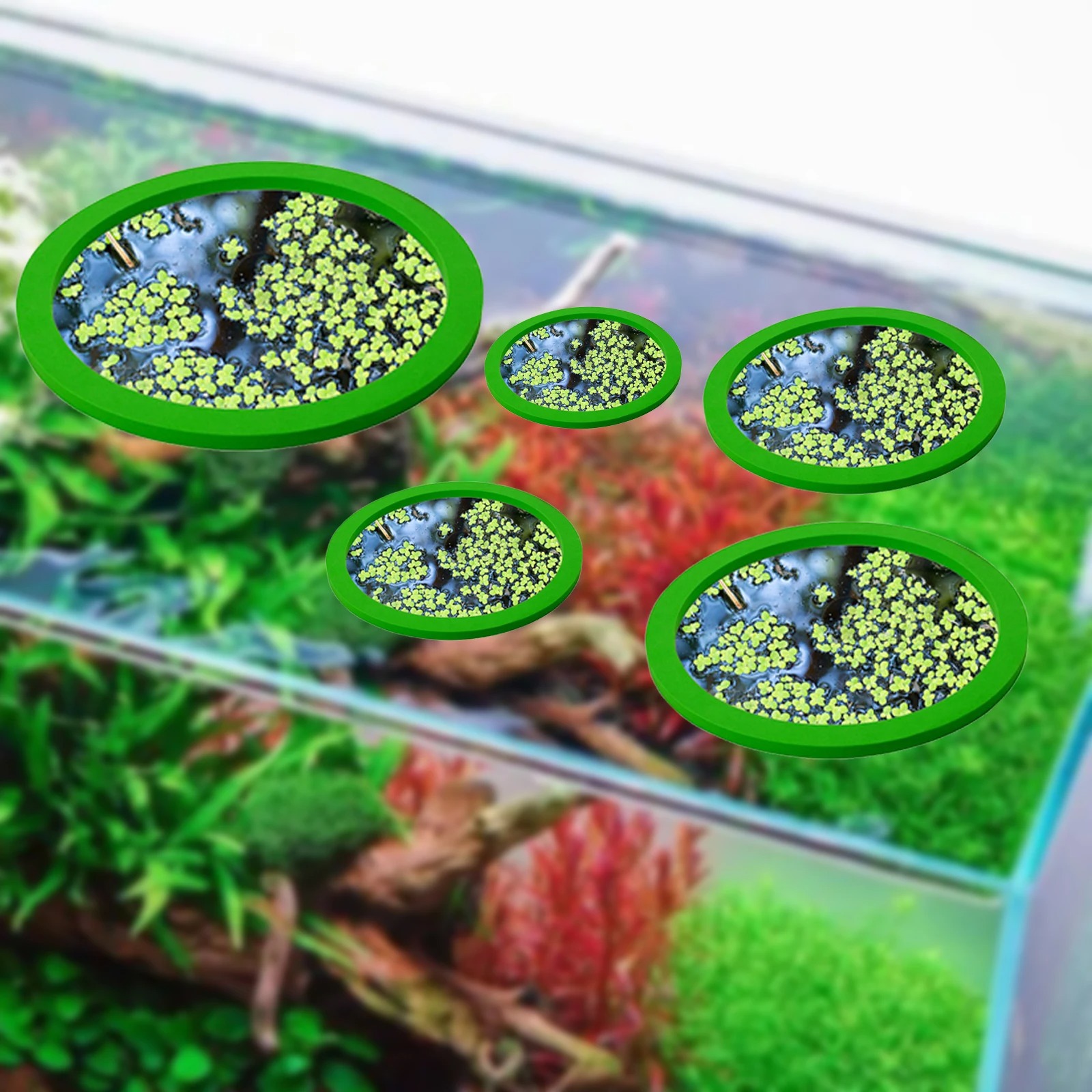 EVA 물고기 먹이 고리 수족관 플로팅 식물, 코랄 어 - Aquarium Planted Fish Tank 리뷰 및 가격