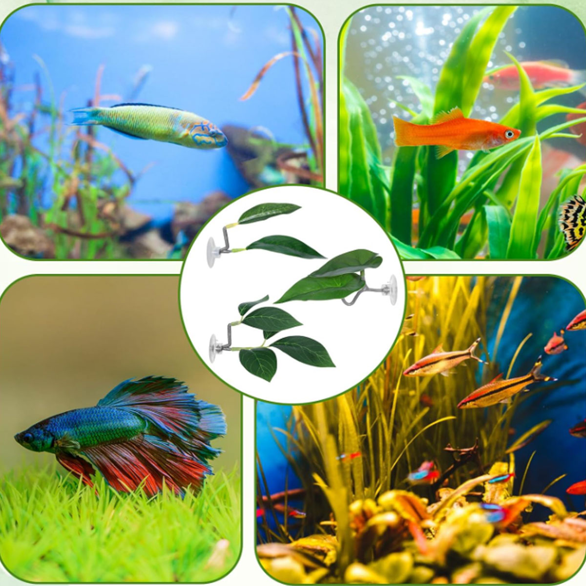 1 PC 베타 물고기 해먹 부드러운 수족관 장식 플라스 - Aquarium Plant Design 리뷰 및 가격