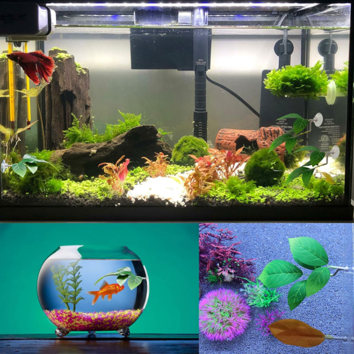 1 PC 베타 물고기 해먹 부드러운 수족관 장식 플라스 - Aquarium Plant Design 리뷰 및 가격