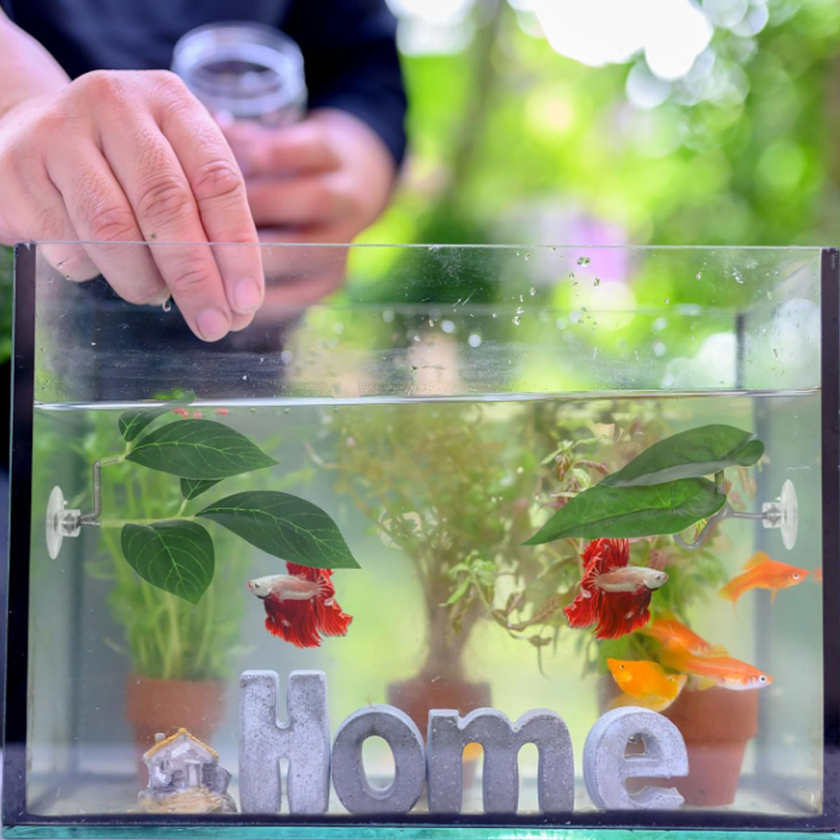 1 PC 베타 물고기 해먹 부드러운 수족관 장식 플라스 - Aquarium Plant Design 리뷰 및 가격